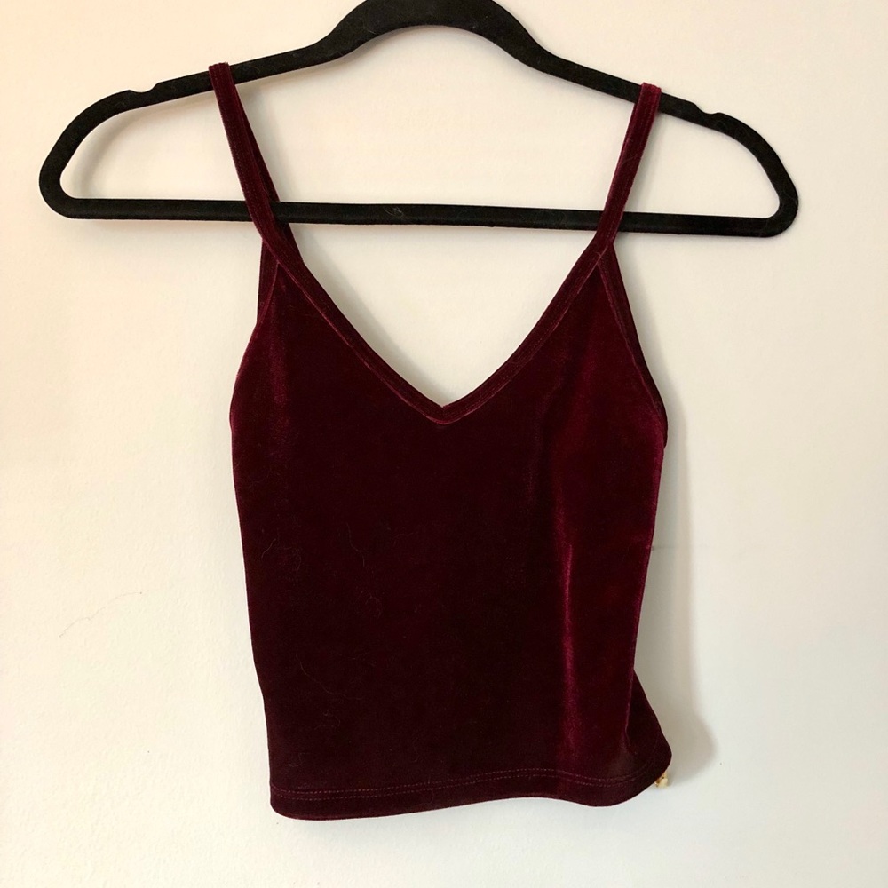 NWOT Brandy Melville velvet crop top